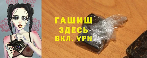 прущие грибы Дмитровск