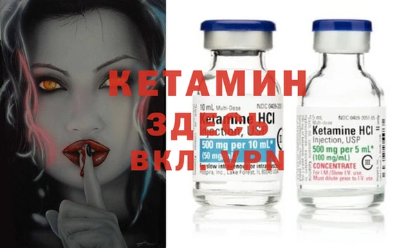 шишки Дмитров