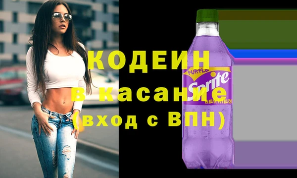 прущие грибы Дмитровск