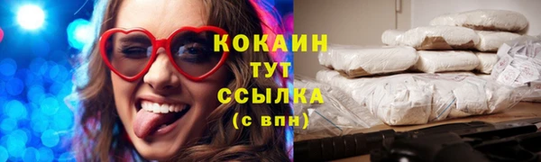 ECSTASY Дмитриев