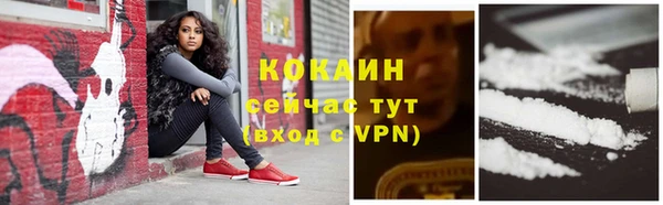 шишки Дмитров