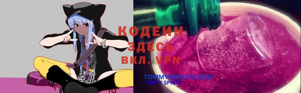 ECSTASY Дмитриев