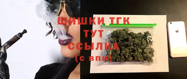 прущие грибы Дмитровск