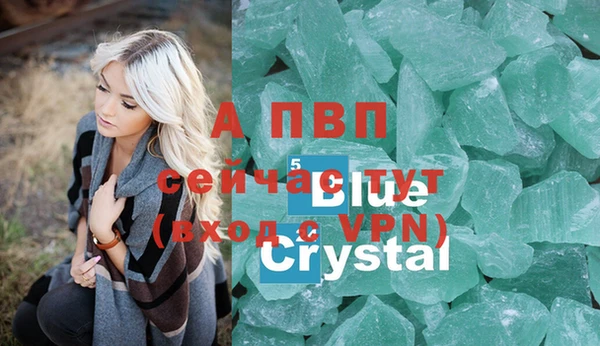 прущие грибы Дмитровск