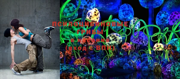 шишки Дмитров