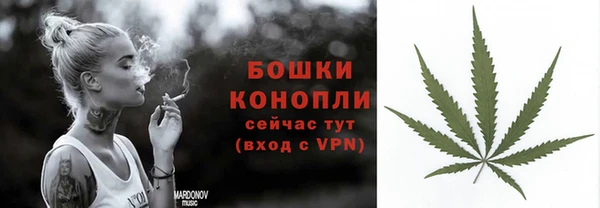 прущие грибы Дмитровск
