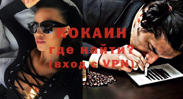 шишки Дмитров