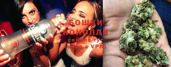 шишки Дмитров
