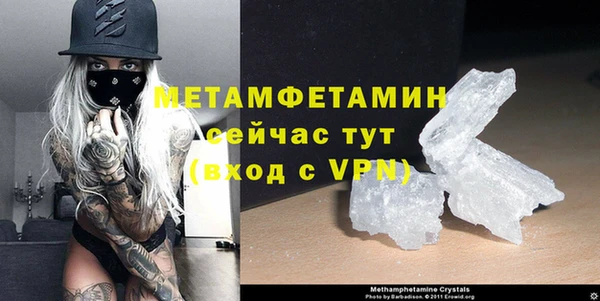 прущие грибы Дмитровск
