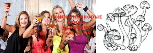 шишки Дмитров